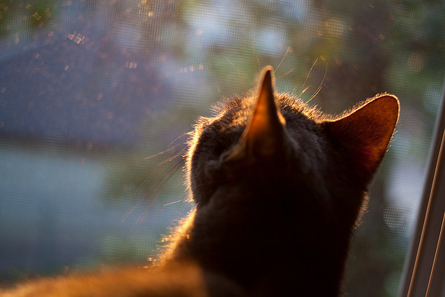 全国青少年篮赛精彩瞬间集锦,展现少年风采,2021年青少年篮球比赛