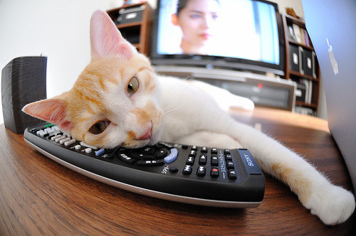 全国青少年“践行绿色”篮球比赛在湖北恩施顺利举办,全国青少年蓝球比赛