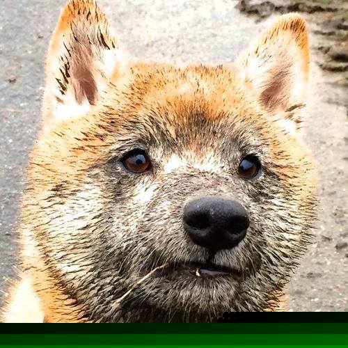 九游-夏日水上漂移表演，梦幻水世界盛大开启，梦幻欢乐水上世界