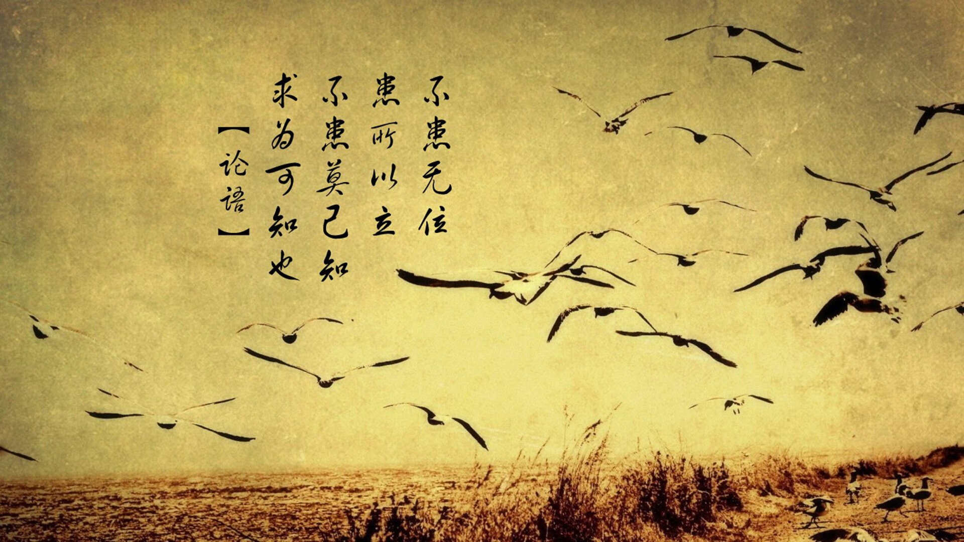 九游网页版入口-大型海岸线冲浪表演，浪花间的青春岁月，海面冲浪