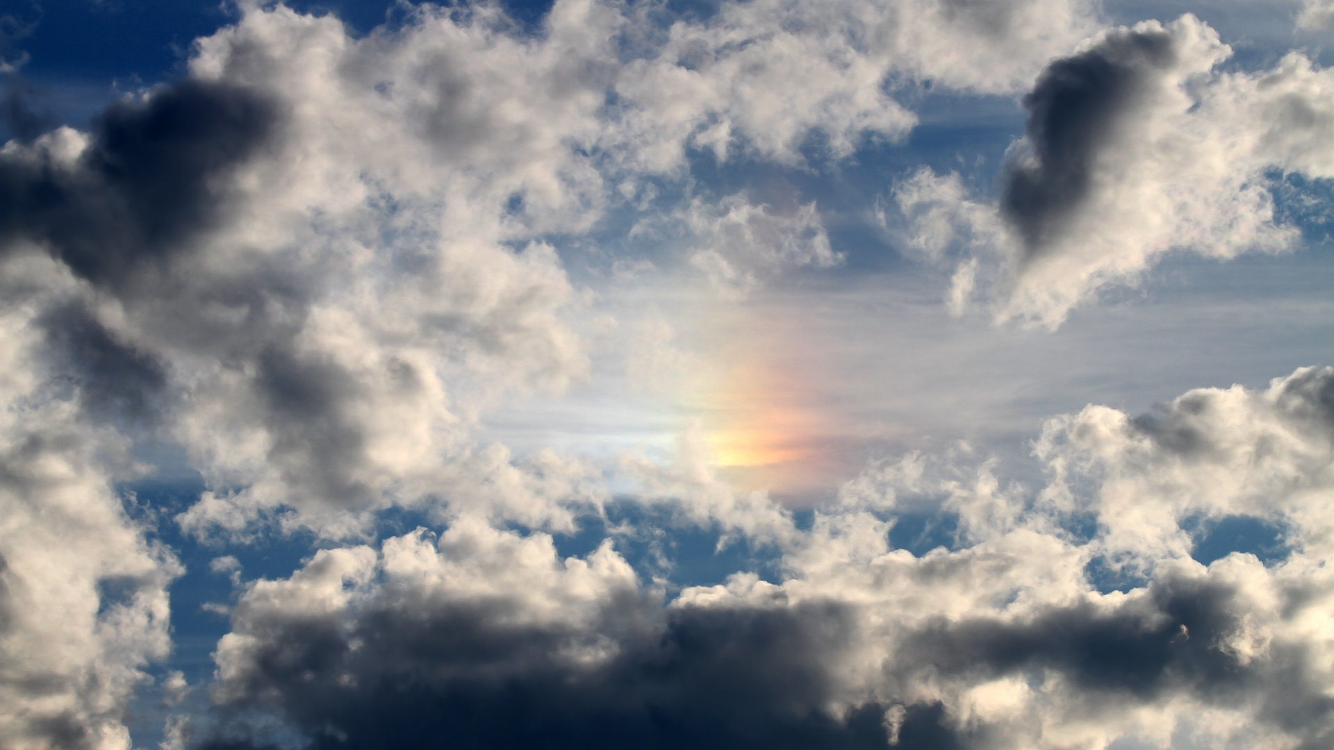 新型安全气囊：赛场上的“生命护卫”，安全气囊应用与发展