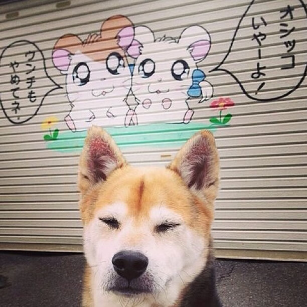 梅州客家客场表现出色，积分榜上升，梅州最有名客家饭店