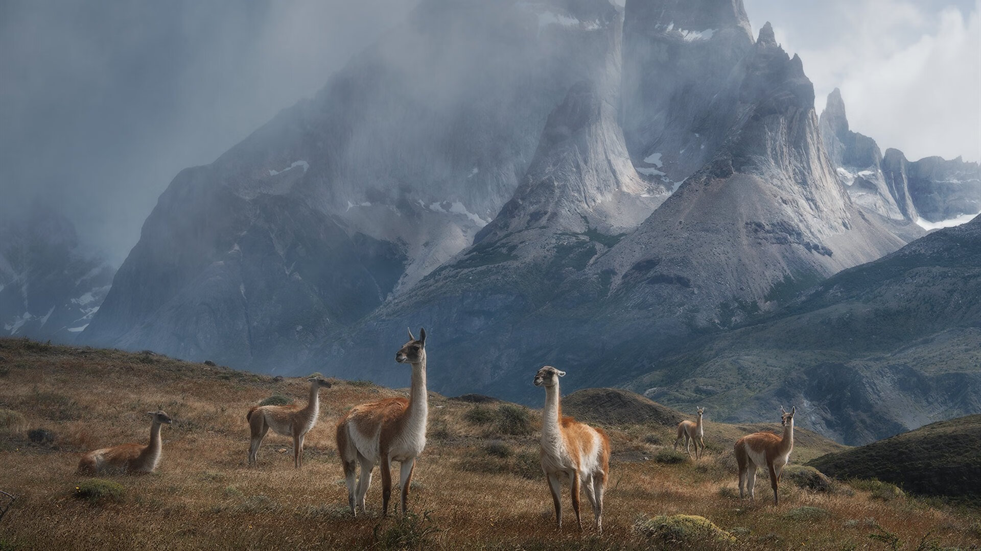 九游下载安装-炉石传说“策略王者”全国大赛激战正酣，炉石传说线上比赛2021
