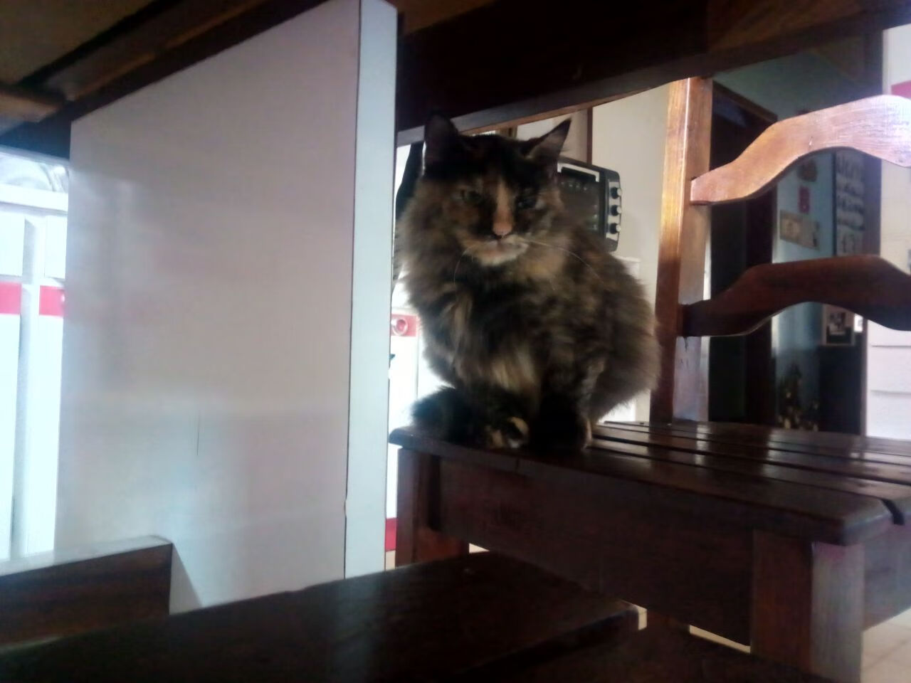 瓦伦西亚凭借团队合作赢得宝贵三分,瓦伦西亚贴吧