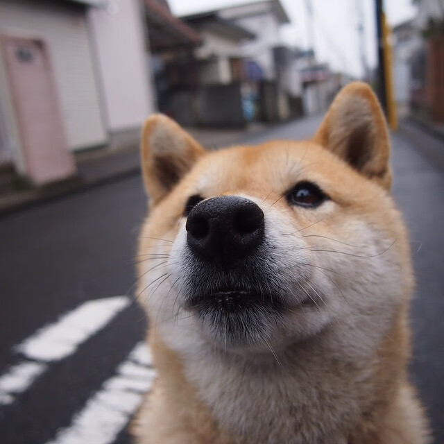 篮球赛事安全保障体系强化应急能力,篮球赛保障方案