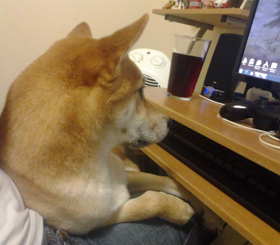 花样滑冰，冰上舞者展现优雅魅力，花样滑冰跳舞