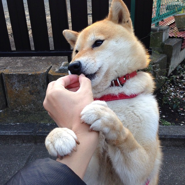美国女足在巴黎奥运会上取得历史性成绩，美国女足奥运会历届成绩