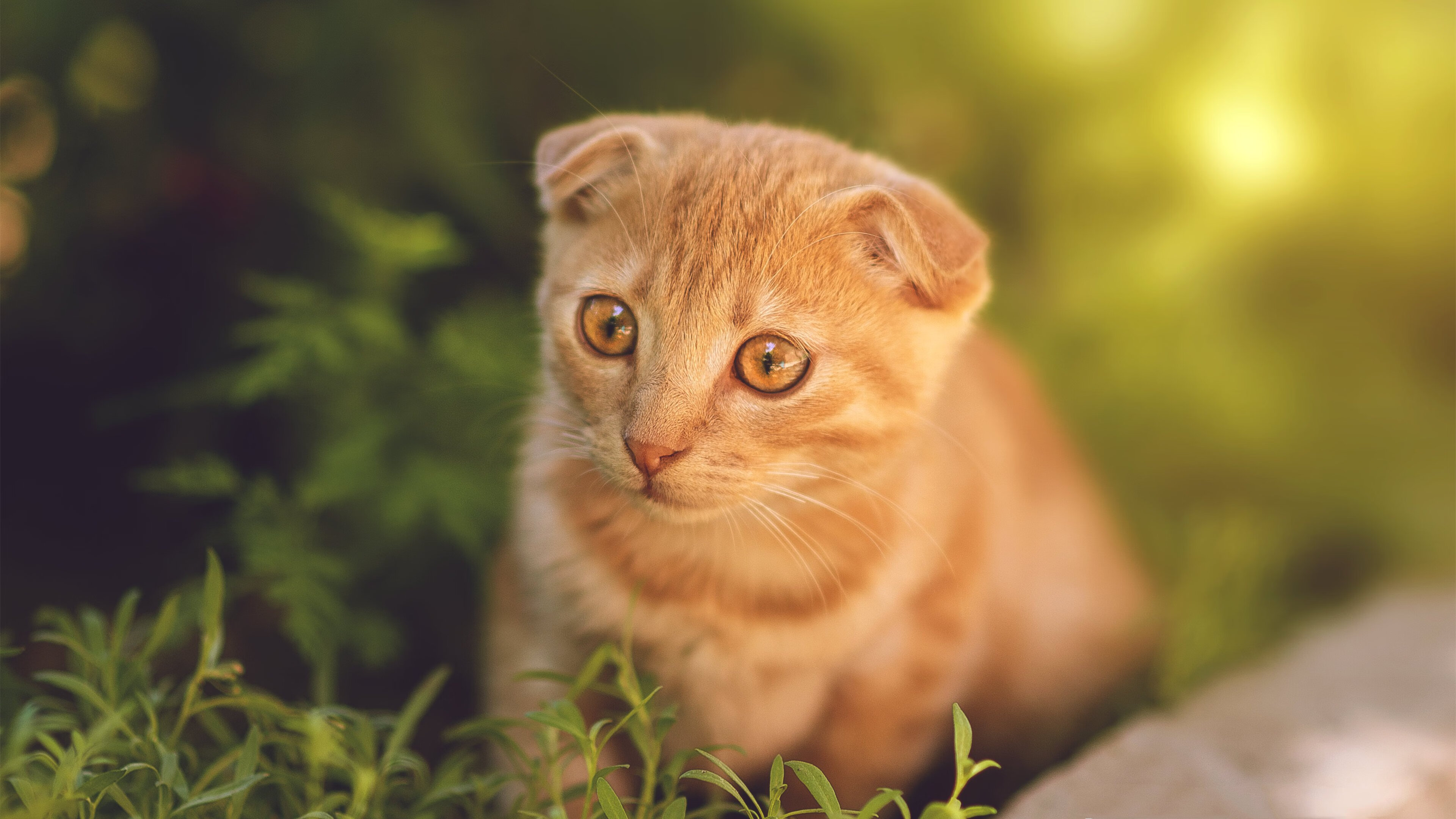 西甲顶级对决,精彩远射和神级扑救扣人心弦,西甲射门排名