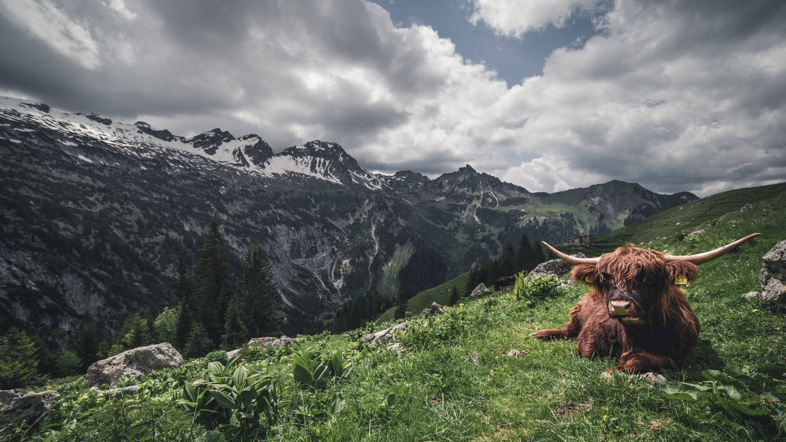 高校青少年篮球“星火计划”走在全国前列，助推校园体育，星火篮球公园