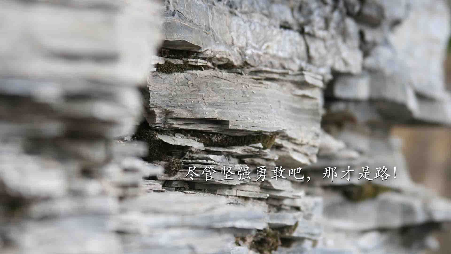 黄蜂新建训练馆启用太阳能供电系统,黄蜂部落体验馆加盟