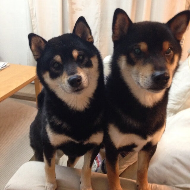 墨西哥球员疑似带暖宝宝上场被罚下,墨西哥球迷