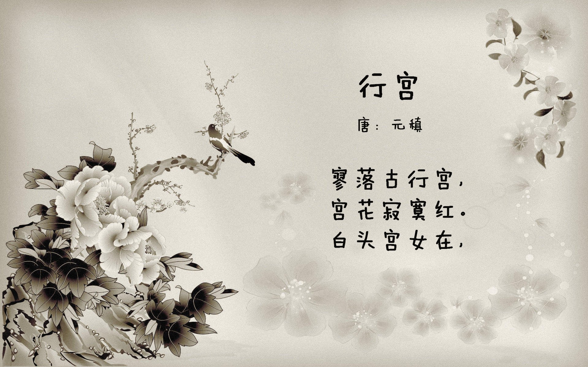 本土球员受伤下场,全场球迷泪目,球员受伤谁出钱