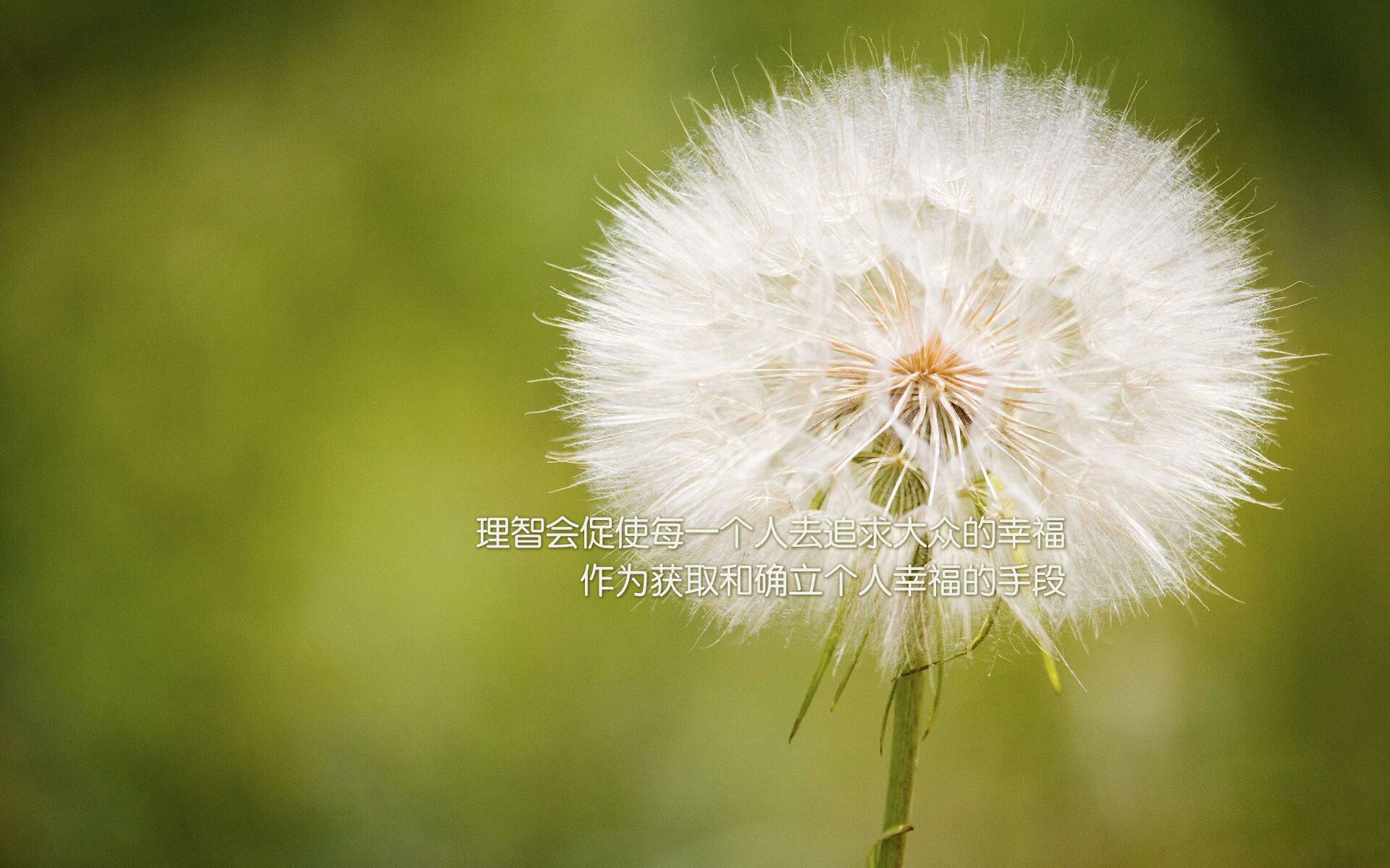 九游登录中心-瑞士队在巴黎奥运会比赛中多次通过中路渗透得分，瑞士队的比赛