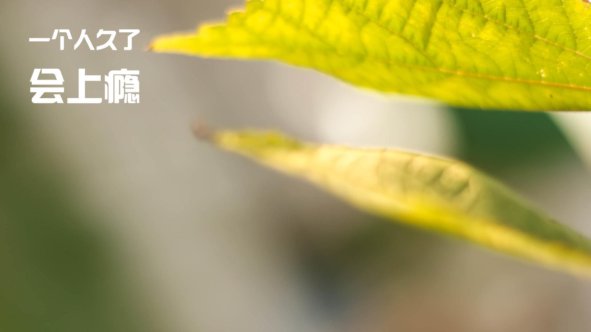 NBA赛季三双球员表现,nba三双最新数据统计