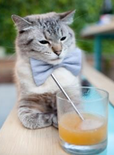 全国青少年趣味投掷大赛点燃运动热情,趣味投掷怎么玩