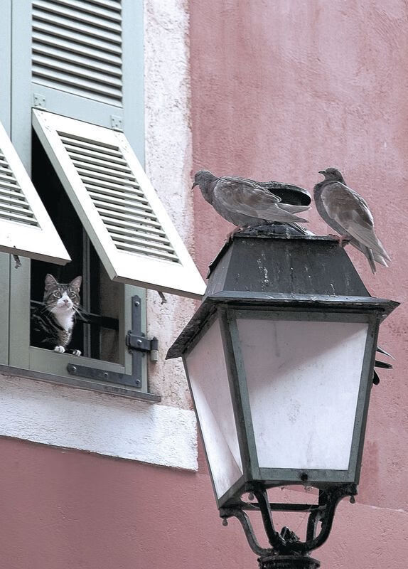 法甲球队基于大数据分析优化边路进攻效率,法甲球队地理位置