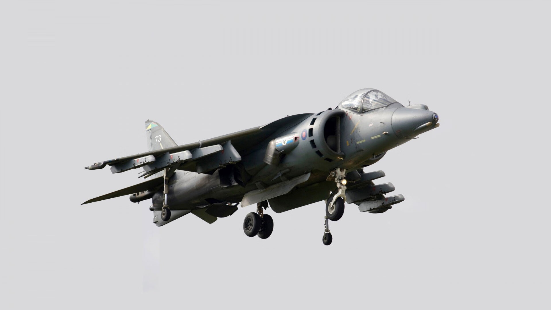 高校校园体育节活动组织与效果评估,校园体育节活动方案