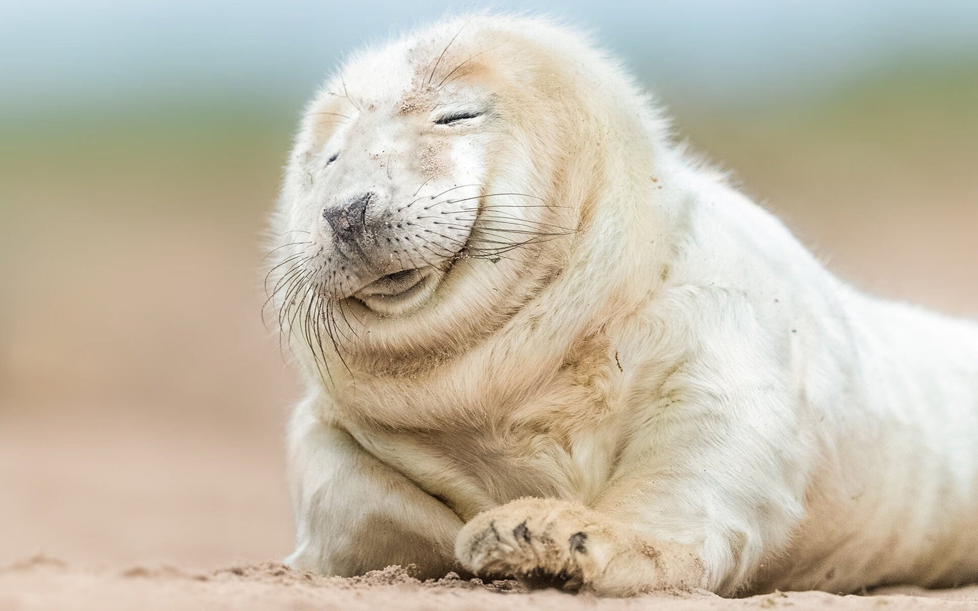 CBA设立主场最佳球迷奖项激励观众参与热情,cba主场怎么安排的