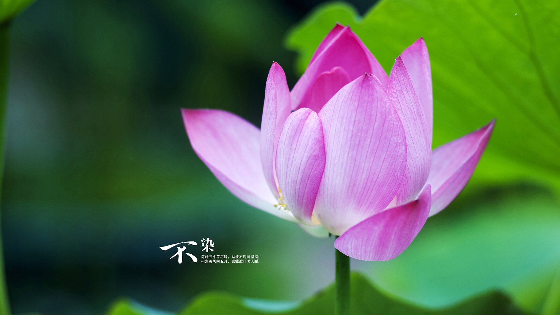 九游官网pc-东京马拉松组委会公布起跑时间及补给安排，东京马拉松2020时间