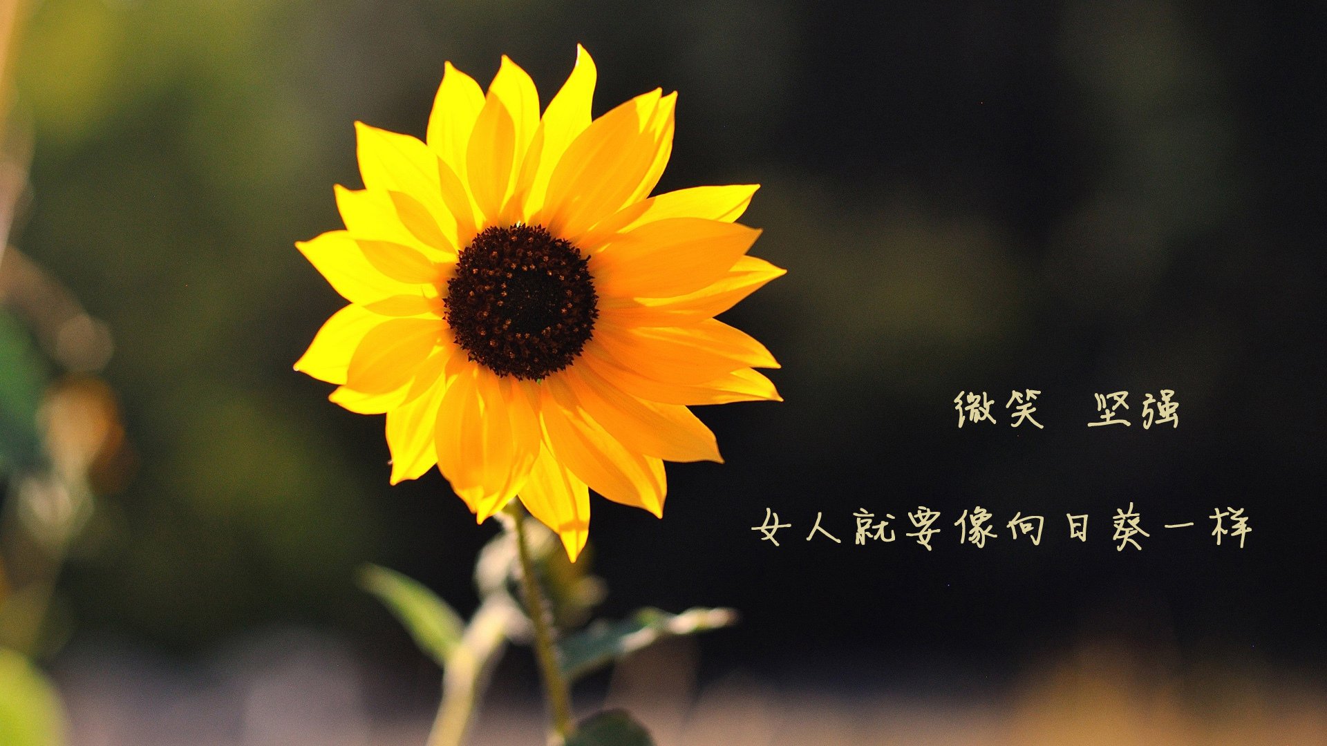 我国家乡男篮在国际邀请赛中获得佳绩,迈向全球舞台