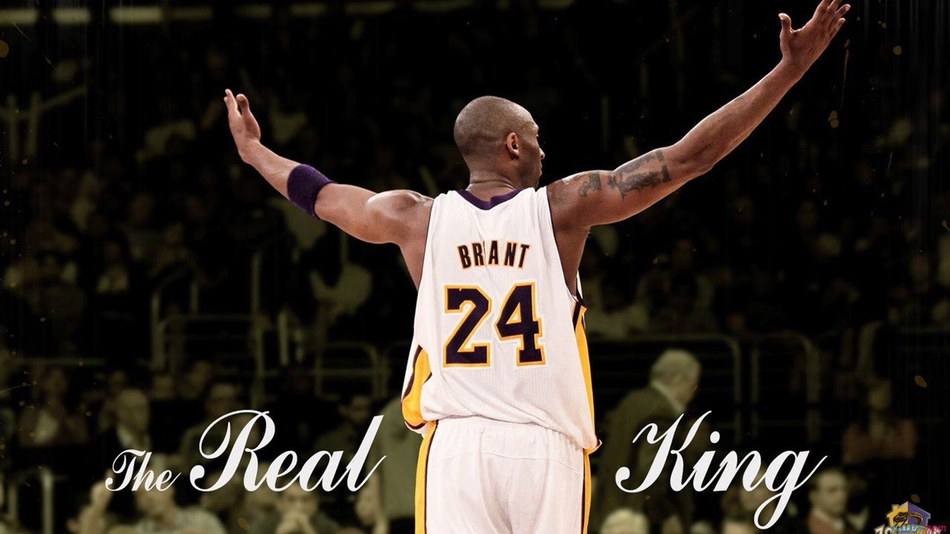 大数据应用指导选手日常生活习惯调整，大数据应用讨论